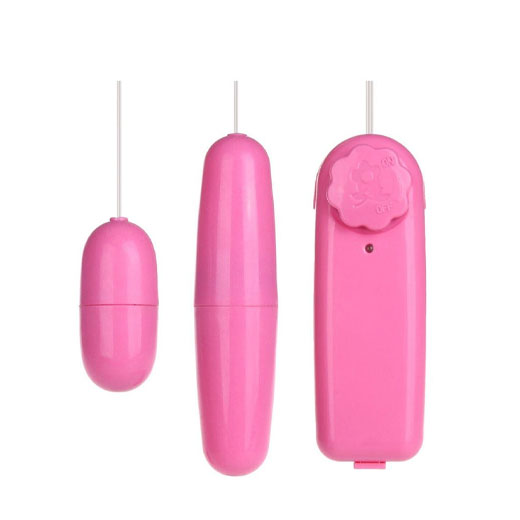 Remote Control Vibrating Double Egg Massager