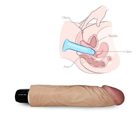 6.5” Real Feel Vibe Dildo