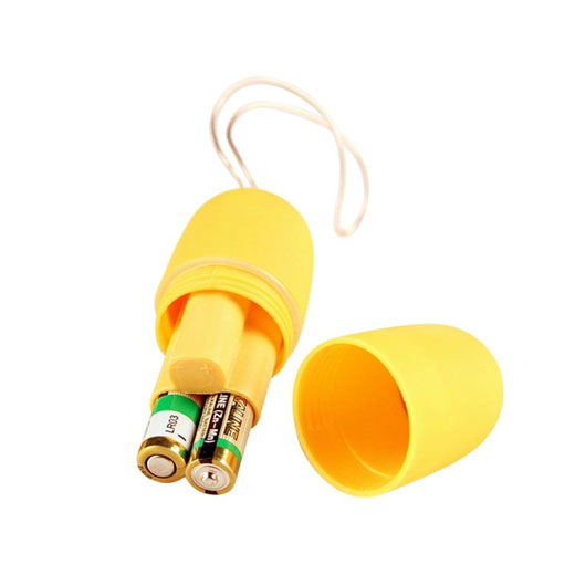 Wireless Remote Control Vibrating Egg