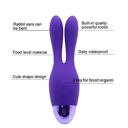 Dream Bunny Vibrator