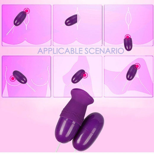 Egg Fun Stimulation Couples Vibrator