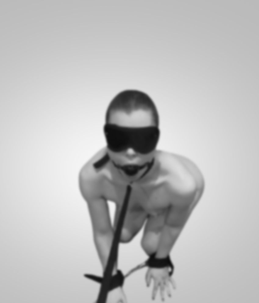 7 Pcs BDSM Bondage Restraints Set