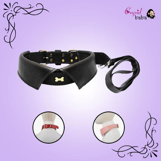 Adjustable Premium Collar Dog