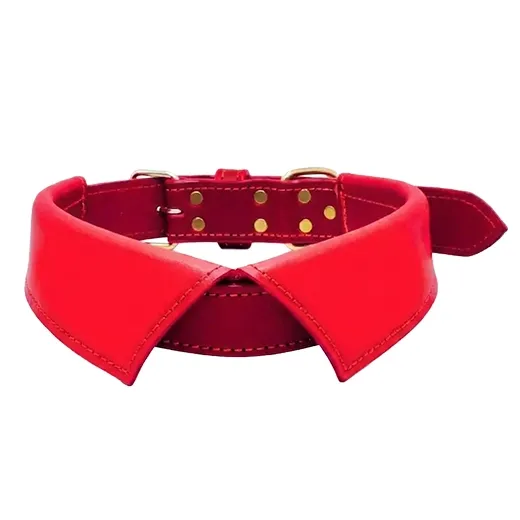 Adjustable Premium Dog Collar