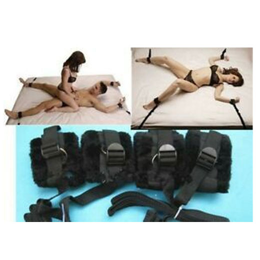 Under Bed Restraint System