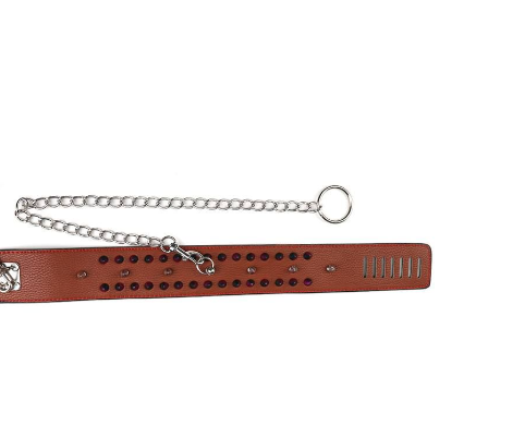 BDSM Collar With Spikes
