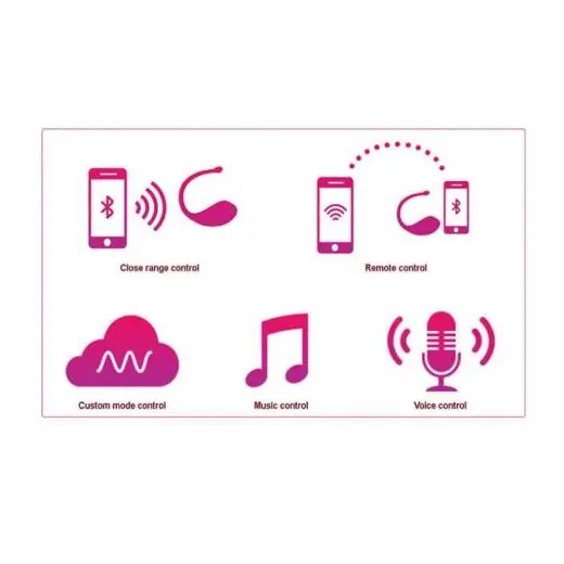 Bluetooth App Vibrator Sex Toy For Women