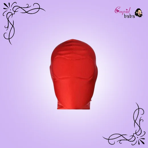 Bondage BDSM Hood Fetish Locking Full Cover Mask