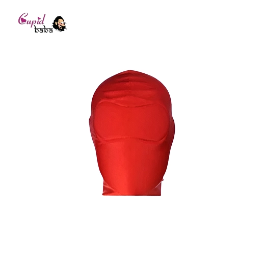 Bondage BDSM Hood Fetish Locking Full Cover Mask
