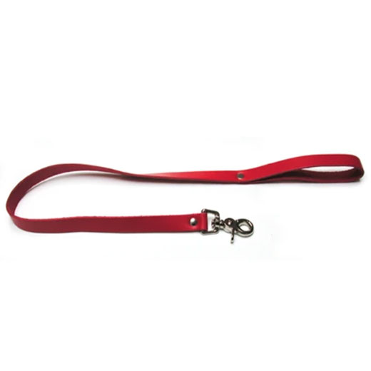 Collar with Leash Fetish Bdsm Dog Slave