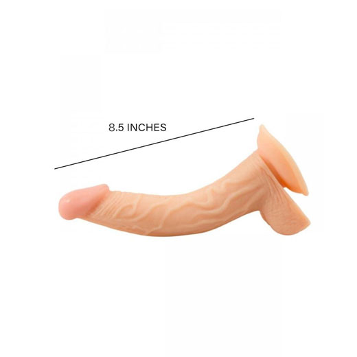 Curved 8.5 Inch Strap on Dildo with Balls