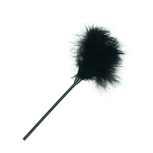 Vaginal Slapper Flirting Whip BDSM Adult Sex Toy Feather Foreplay Couple Game