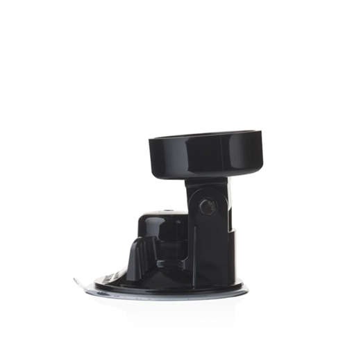 Lady Gagga Masturbator With Suction Cup