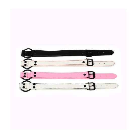 Mouth Gag Oral Skin Bondage