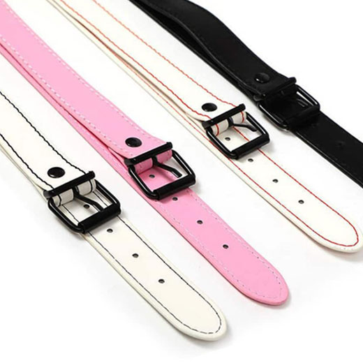 Mouth Gag Oral Skin Bondage