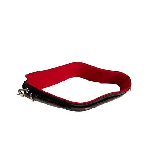 Pu Leather collar and chain leash set