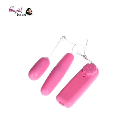 Remote Control Vibrating Double Egg Massager