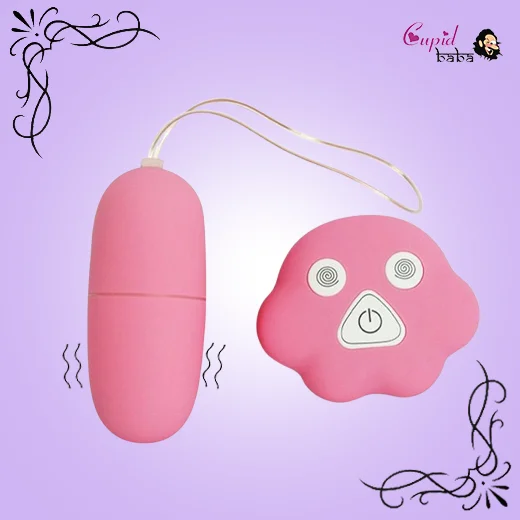 Remote Control Vibrating Egg G Spot Massager