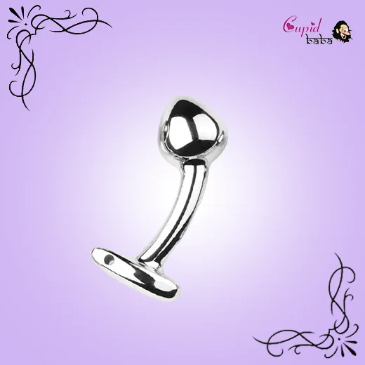 Stainless Steel Anal Plug Curved Sex Toys Women Men G-spot Dildo Butt Plug
