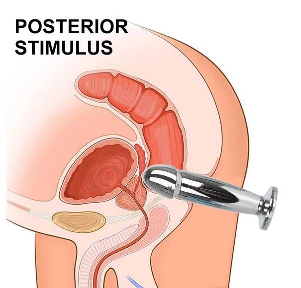 Usb Stainless Steel Anal Vibrators Prostate Masturbator