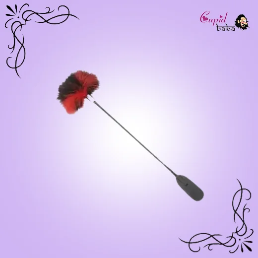 Vaginal Slapper Flirting Whip BDSM Adult Sex Toy Feather Foreplay Couple Game