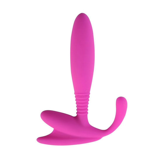 Anchor Prostate Massager