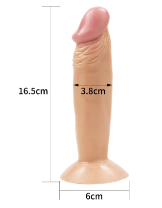 6 Inch Mr. Perfect Dildo For Beginners