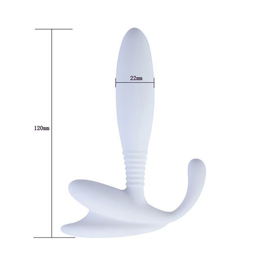 Anchor Prostate Massager