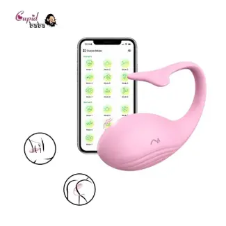 App Control G Spot Mini Egg Vibrator For Couples