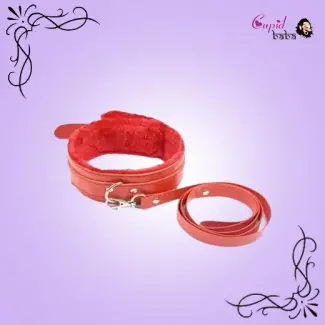 Collar with Leash Fetish Bdsm Dog Slave