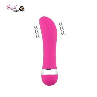 Dolphin Shape Mini Pink Vibrator Massager