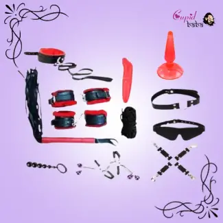 Luxury 12 Pcs Leather Bdsm Bondage Kit
