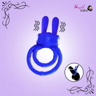 Passion Rabbit Double Ring Lock