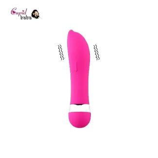 Pink Dolphin Mini Vibrator Massager
