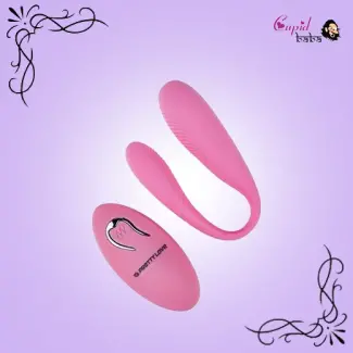 Pretty Love Rechargeable Couple Vibrator