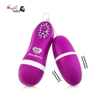 Remote Control Powerful Vibrating Egg