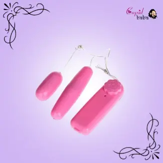 Remote Control Vibrating Double Egg Massager
