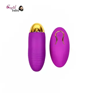 Remote Jumping Egg Vibrator With USB Charge