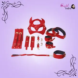Top Class Luxury Bdsm Kit