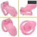 Custom Chastity Cage with 4 Active Sizes Rings