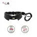 Adjustable Premium Dog Collar