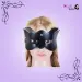 Cat Blindfold Sexy Eye Mask Bondage