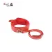 Collar with Leash Fetish Bdsm Dog Slave
