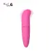Dolphin Vibrators For Women