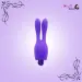 Dream Bunny Vibrator