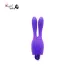 Dream Bunny Vibrator
