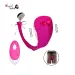 G Spot Wireless Remote Control Underwear Panty Vibrator