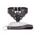 Genuine Leather Bat Shape Collar With Chain Leash