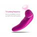 Oral Sex Licking & Nipple Sucking Clitoral Stimulator Vibrator