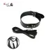 PU Leather BDSM Collar with Leash Fetish Bondage